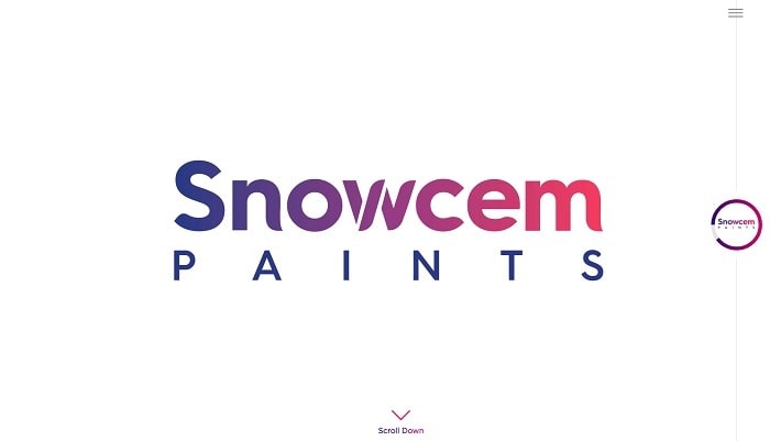 Best Paint Brands in India | BizApprise