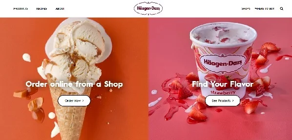 Ice Cream Brands in India: HÄAGEN-DAZS Ice Cream
