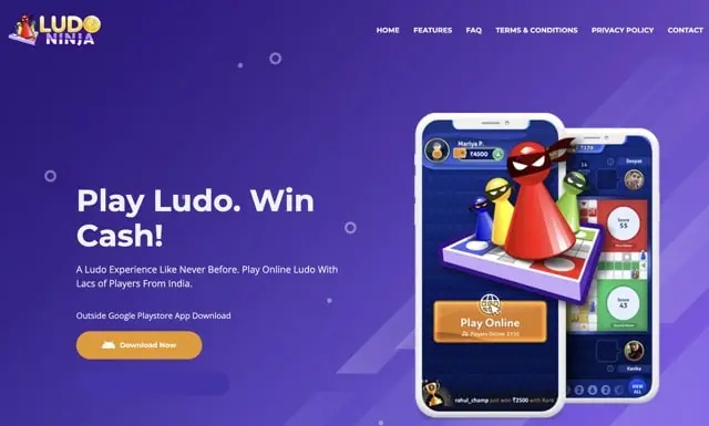 Ludo Ninja website Image for reference