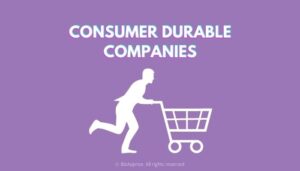 15 Best Consumer Durable Companies in India